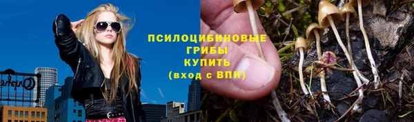 ешки Алзамай
