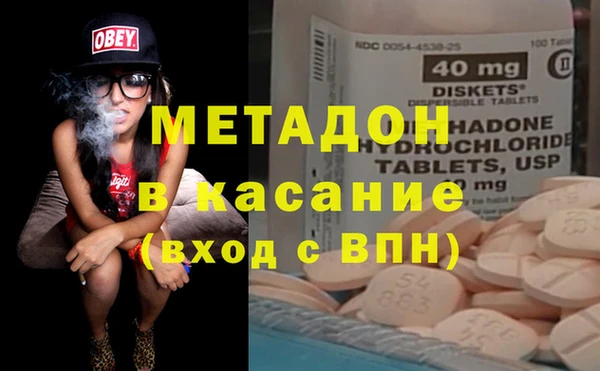 индика Алексин