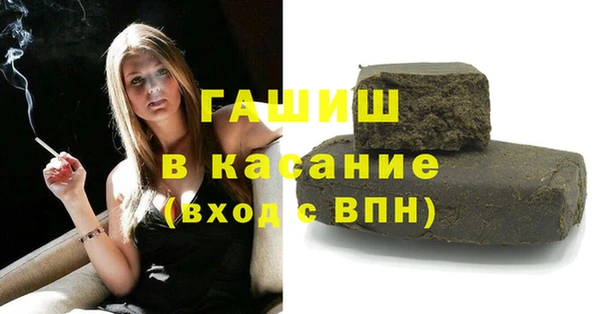 индика Алексин