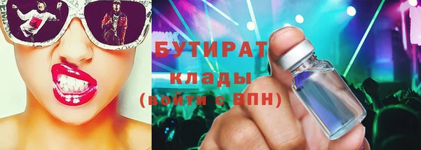 индика Алексин