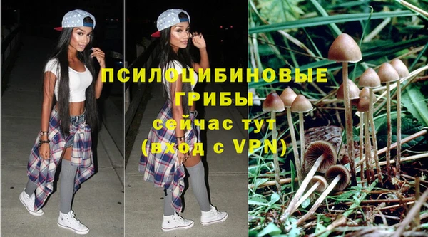 ешки Алзамай