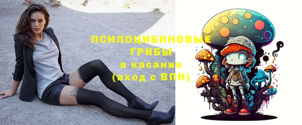 индика Алексин
