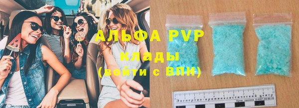 индика Алексин