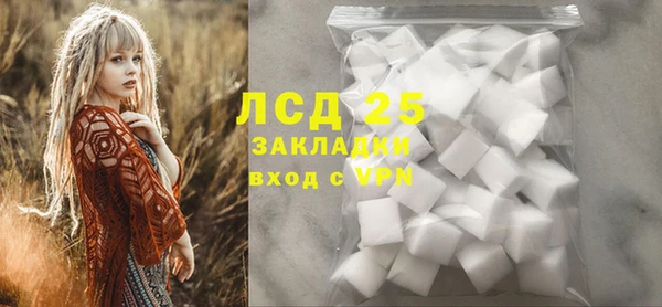 индика Алексин