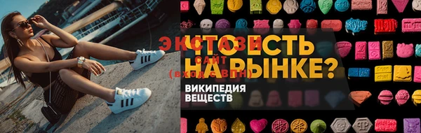 индика Алексин